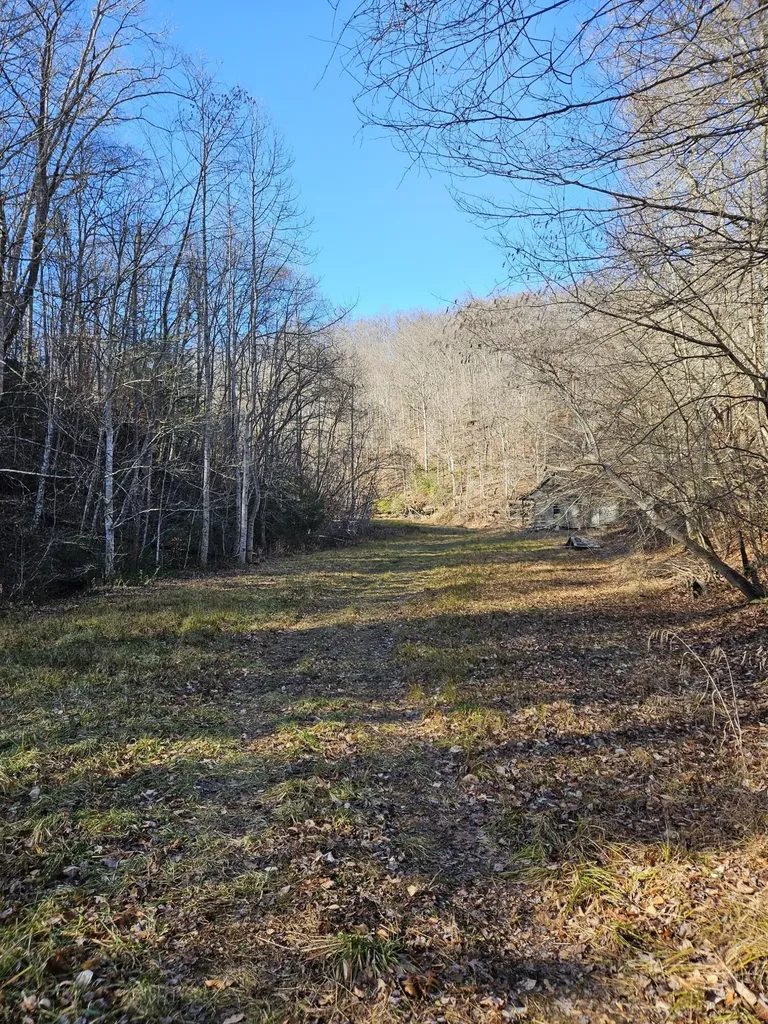 0 Lick Fork Road Sandy Hook KY 41171