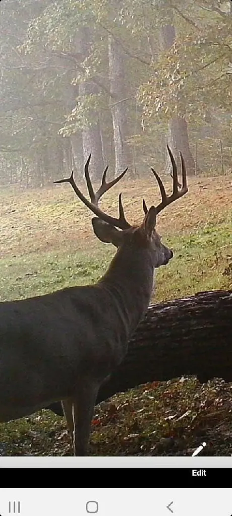 0 Lick Fork Road Sandy Hook KY 41171