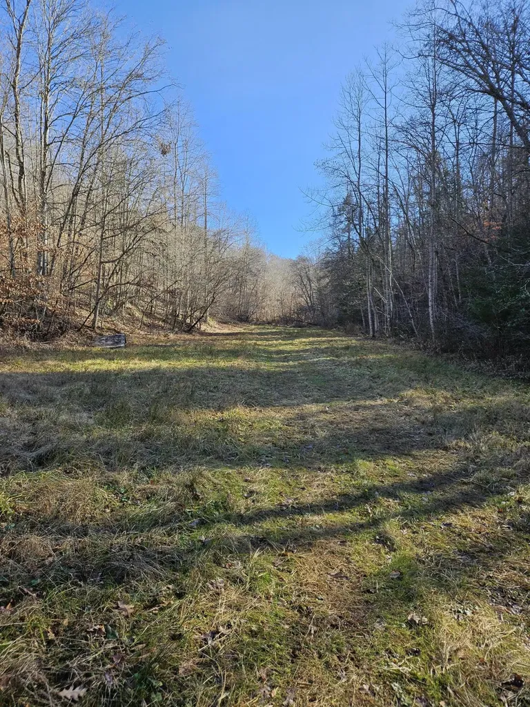 0 Lick Fork Road Sandy Hook KY 41171