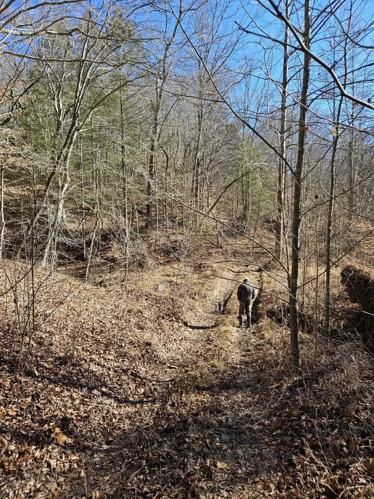 0 Lick Fork Road Sandy Hook KY 41171