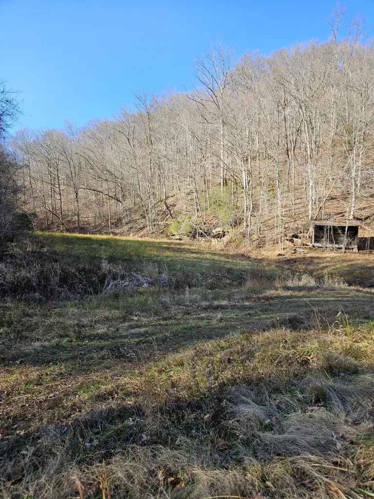0 Lick Fork Road Sandy Hook KY 41171