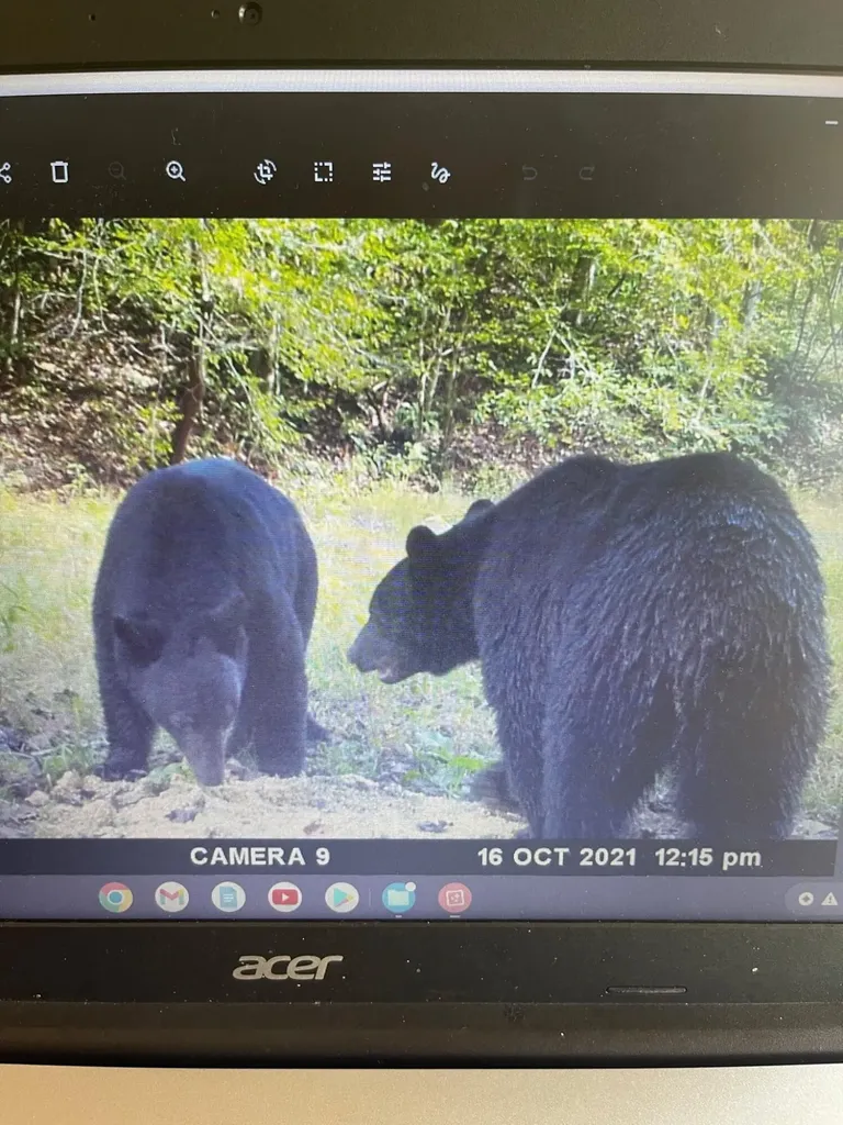 0 Lick Fork Road Sandy Hook KY 41171