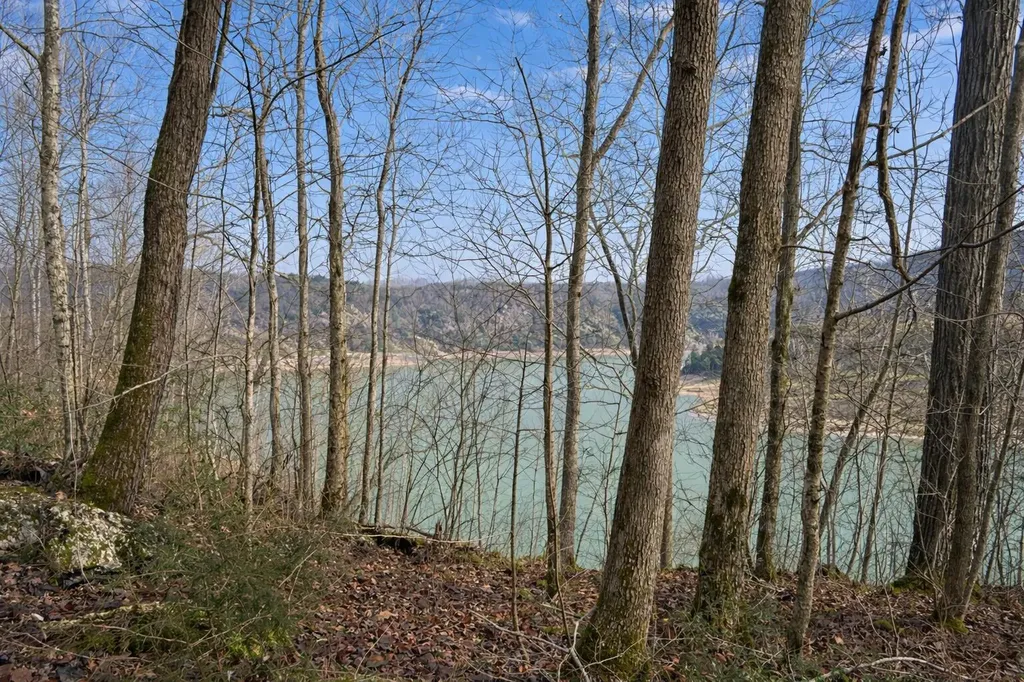 Lot 1 Lower Turkey Creek Road Monticello KY 42633