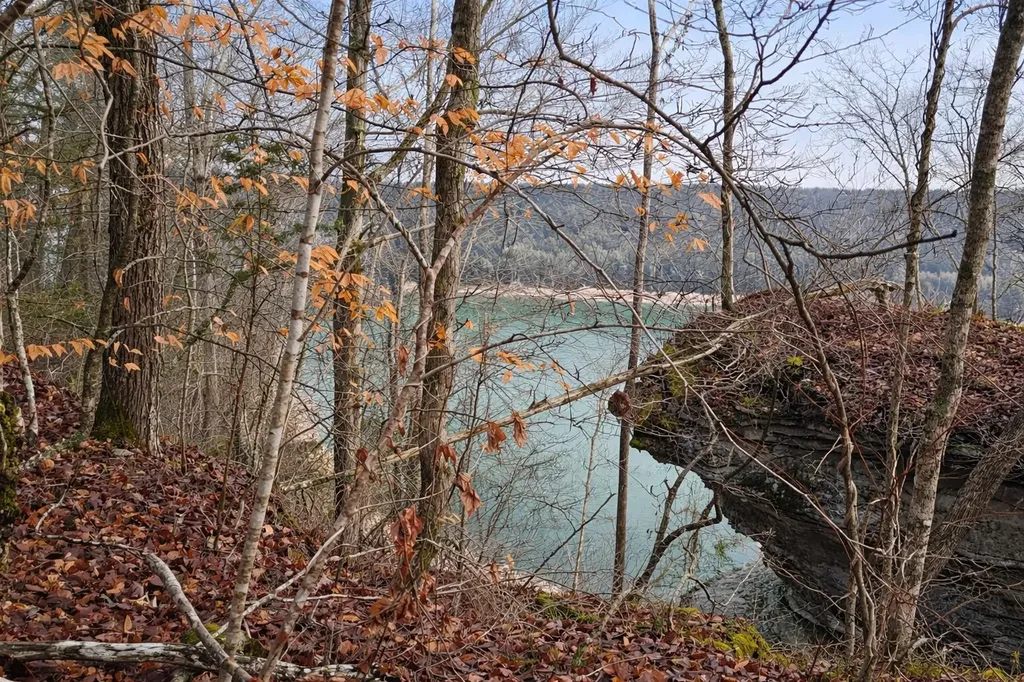 Lot 1 Lower Turkey Creek Road Monticello KY 42633