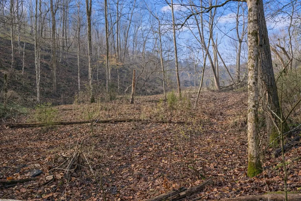 Lot 1 Lower Turkey Creek Road Monticello KY 42633
