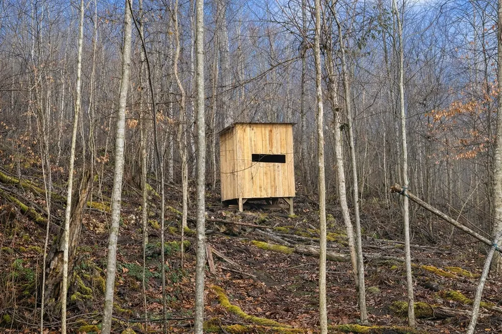 Lot 1 Lower Turkey Creek Road Monticello KY 42633