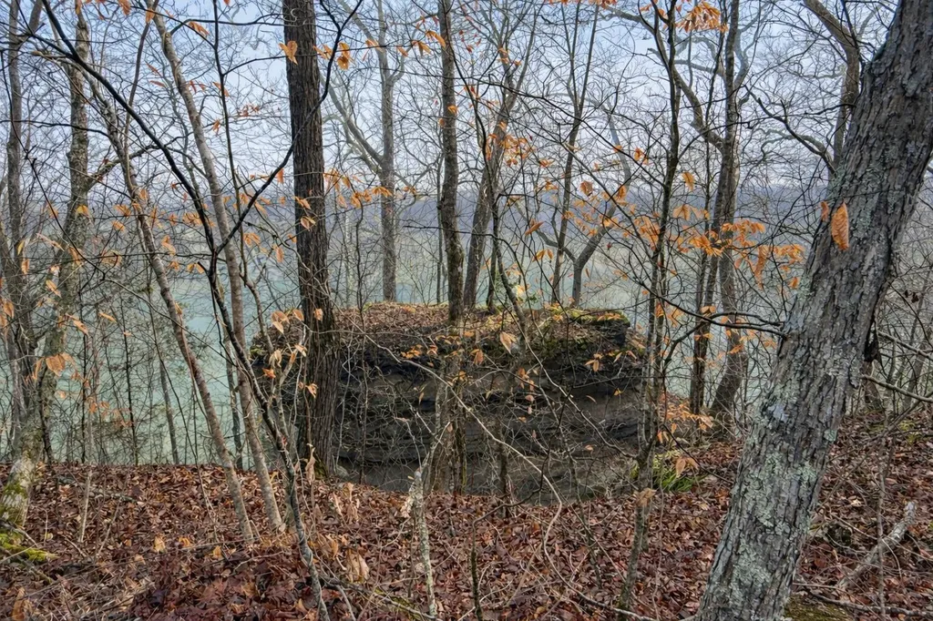 Lot 1 Lower Turkey Creek Road Monticello KY 42633