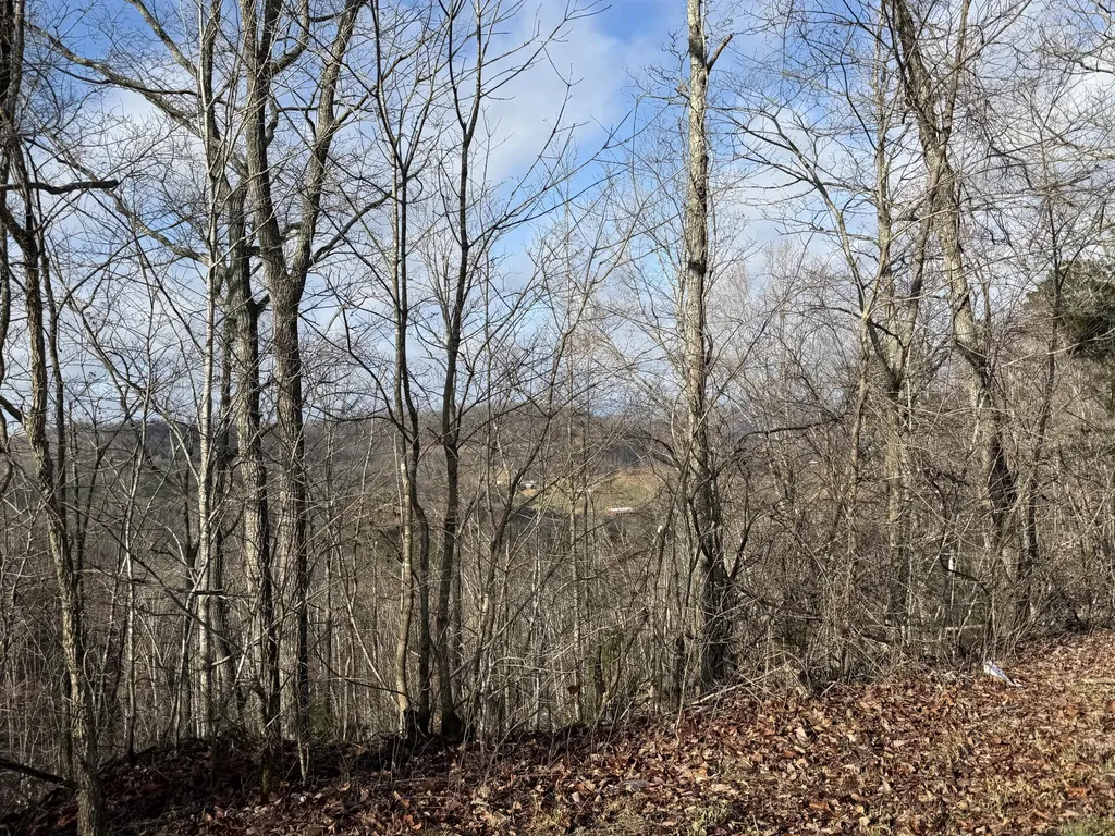 Lot 1 Lower Turkey Creek Road Monticello KY 42633