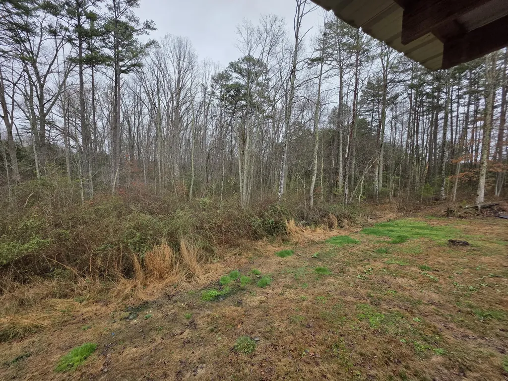 884 Holly Grove Road Corbin KY 40701