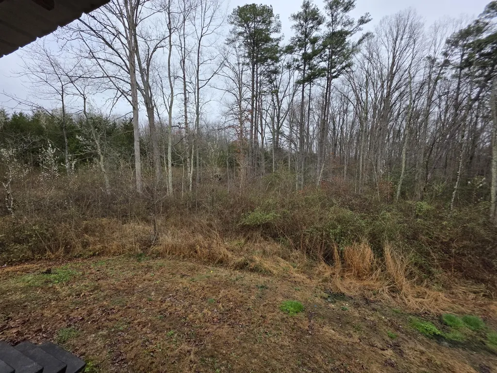 884 Holly Grove Road Corbin KY 40701