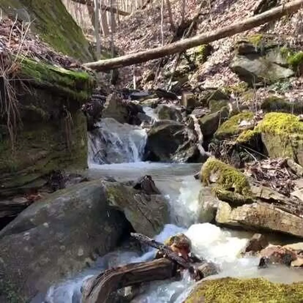 1922 Star Gap Road Stanton KY 40380