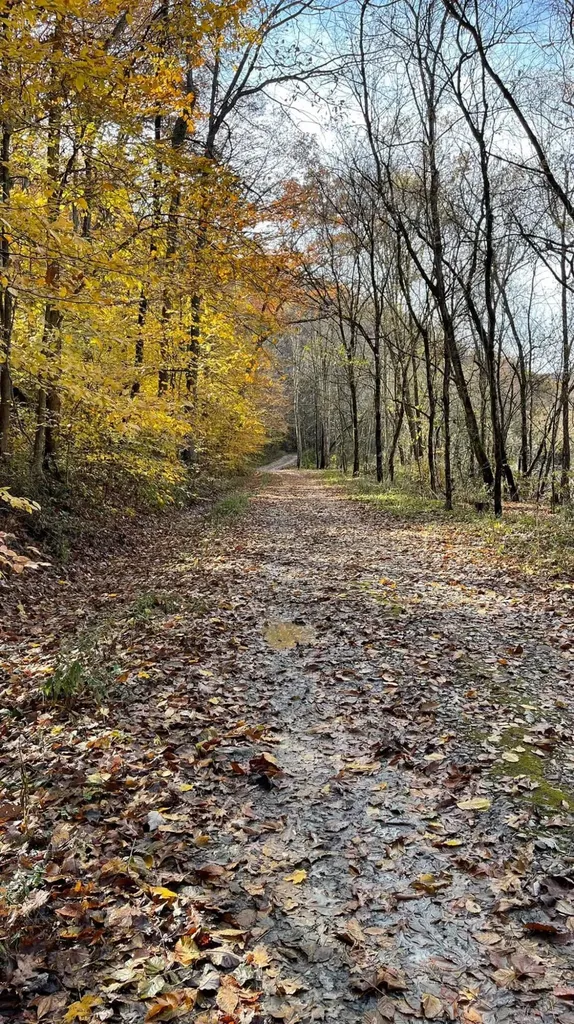 1922 Star Gap Road Stanton KY 40380