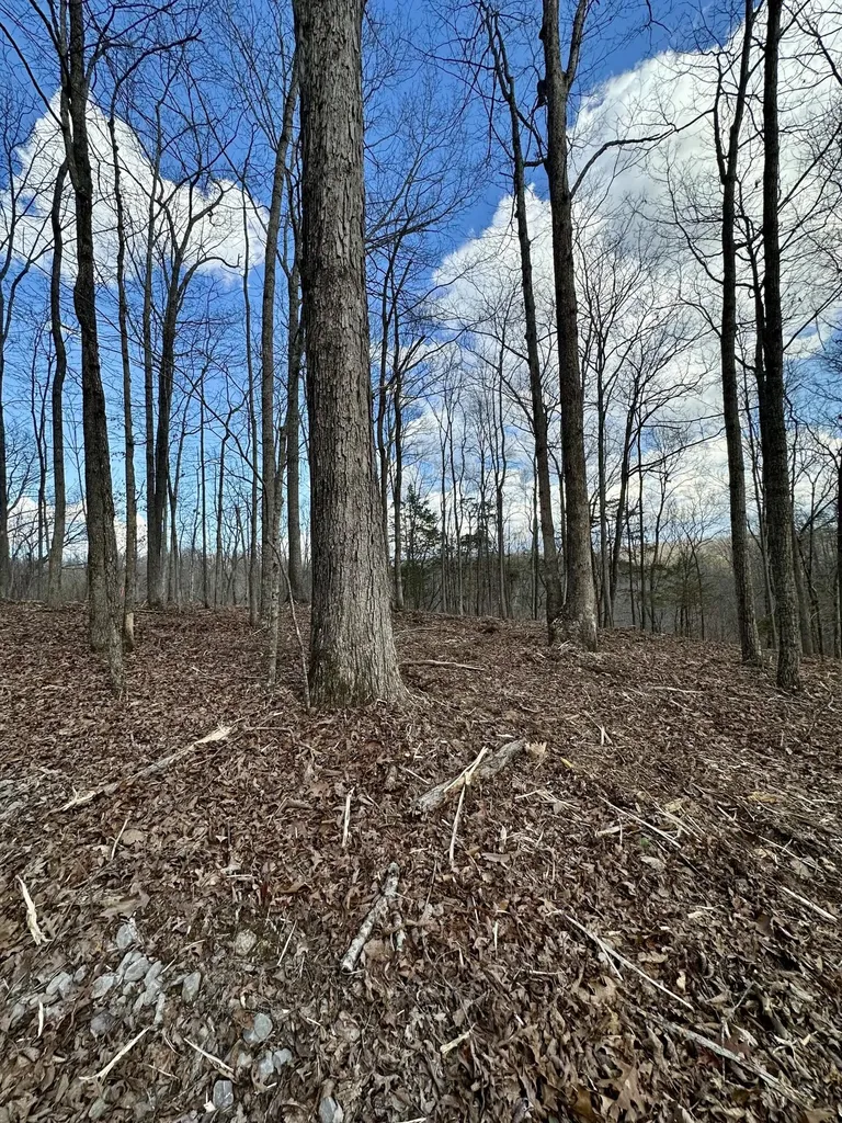 7 Malone Ridge Road Albany KY 42602