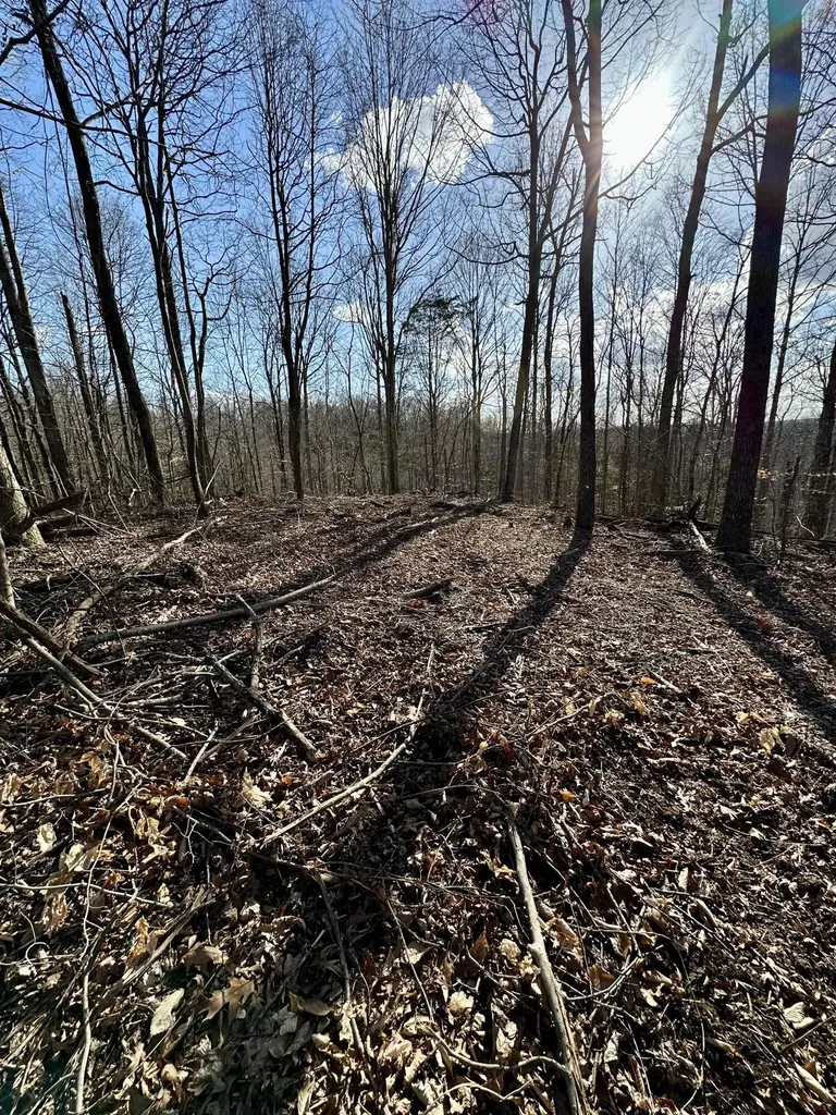 6 Malone Ridge Road Albany KY 42602
