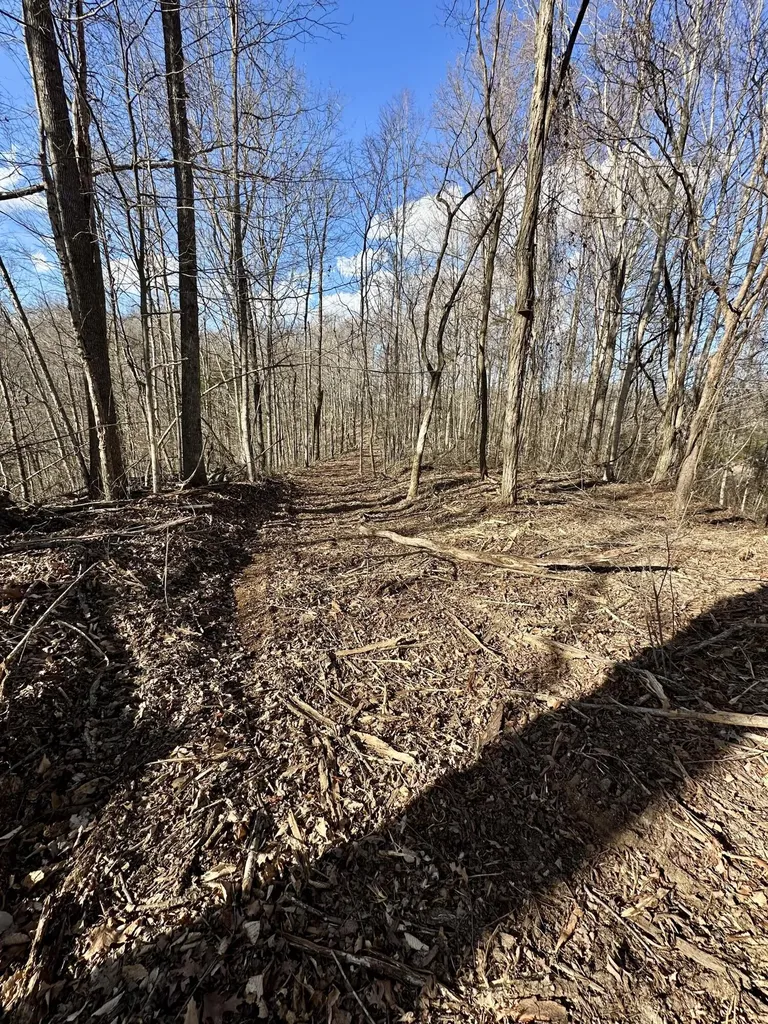6 Malone Ridge Road Albany KY 42602
