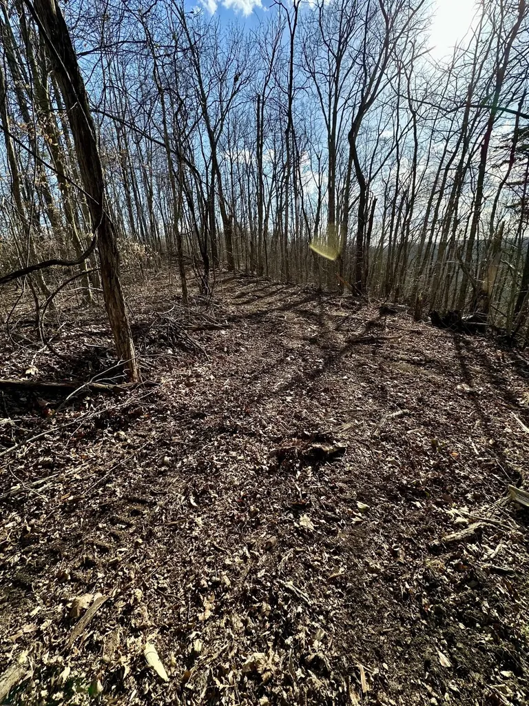 6 Malone Ridge Road Albany KY 42602
