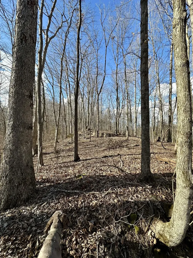 6 Malone Ridge Road Albany KY 42602