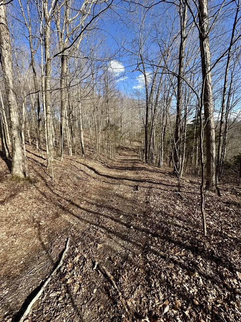 6 Malone Ridge Road Albany KY 42602