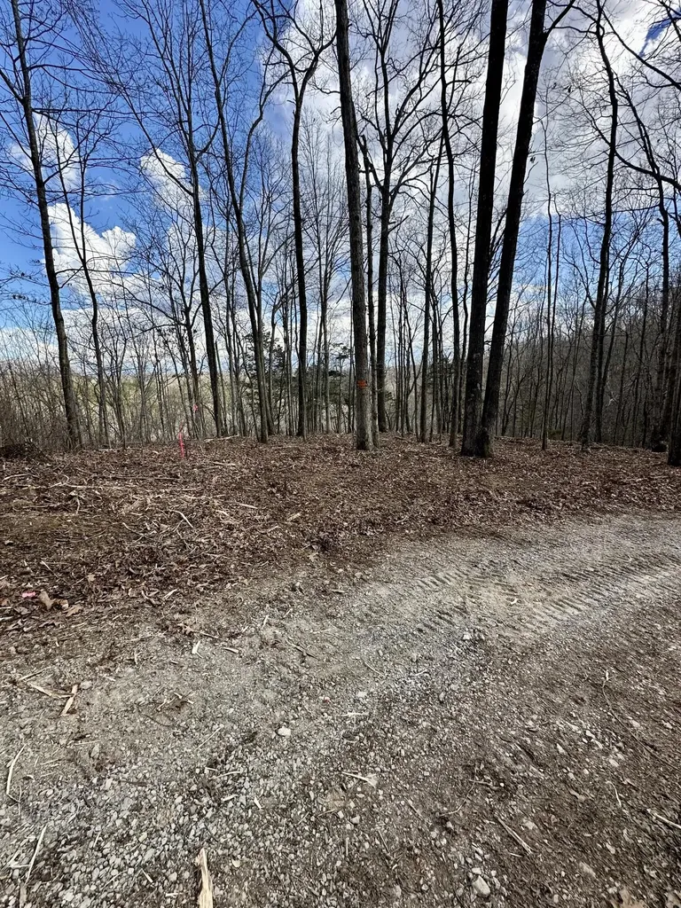 16 Malone Ridge Road Albany KY 42602