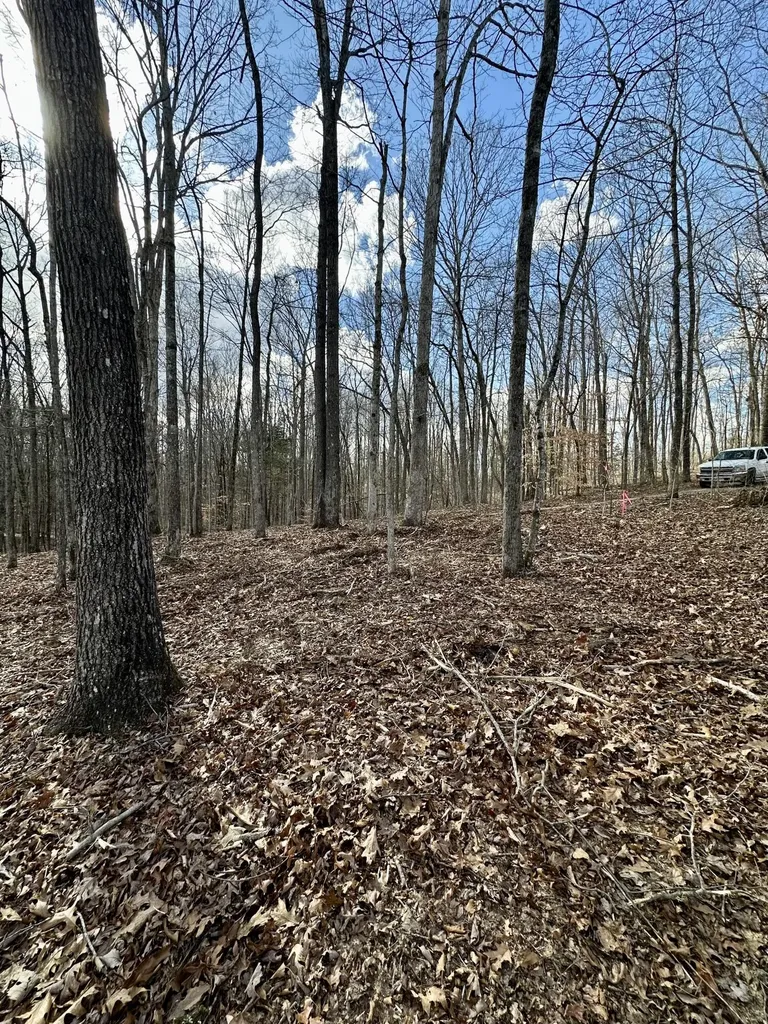 16 Malone Ridge Road Albany KY 42602