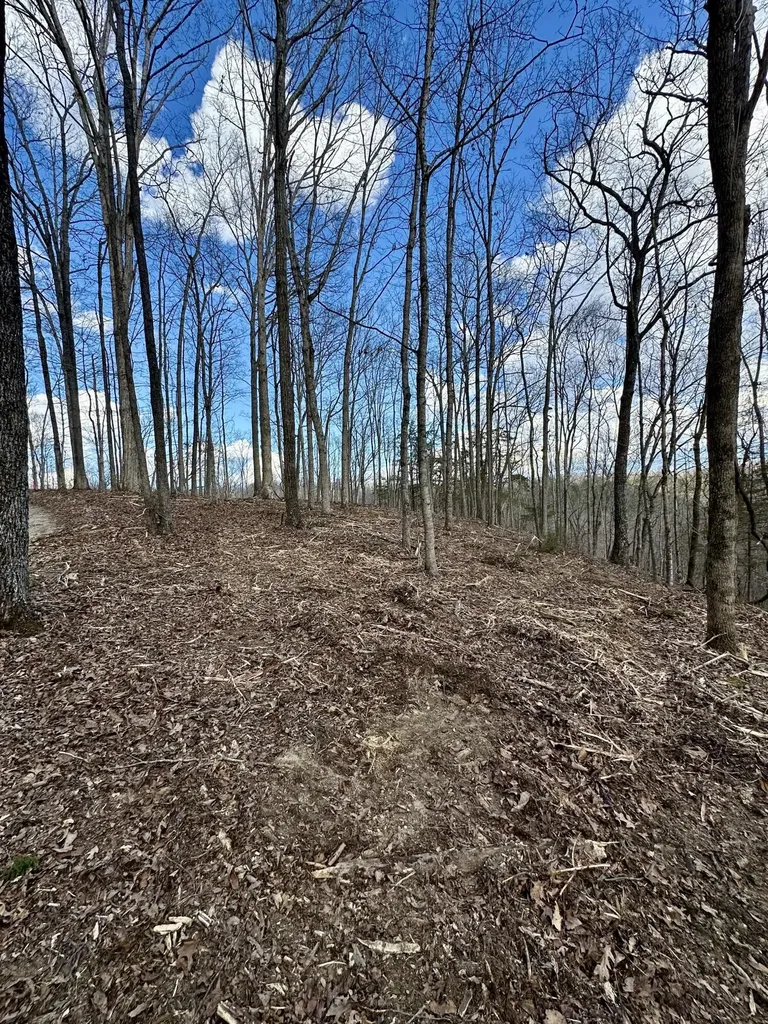 16 Malone Ridge Road Albany KY 42602