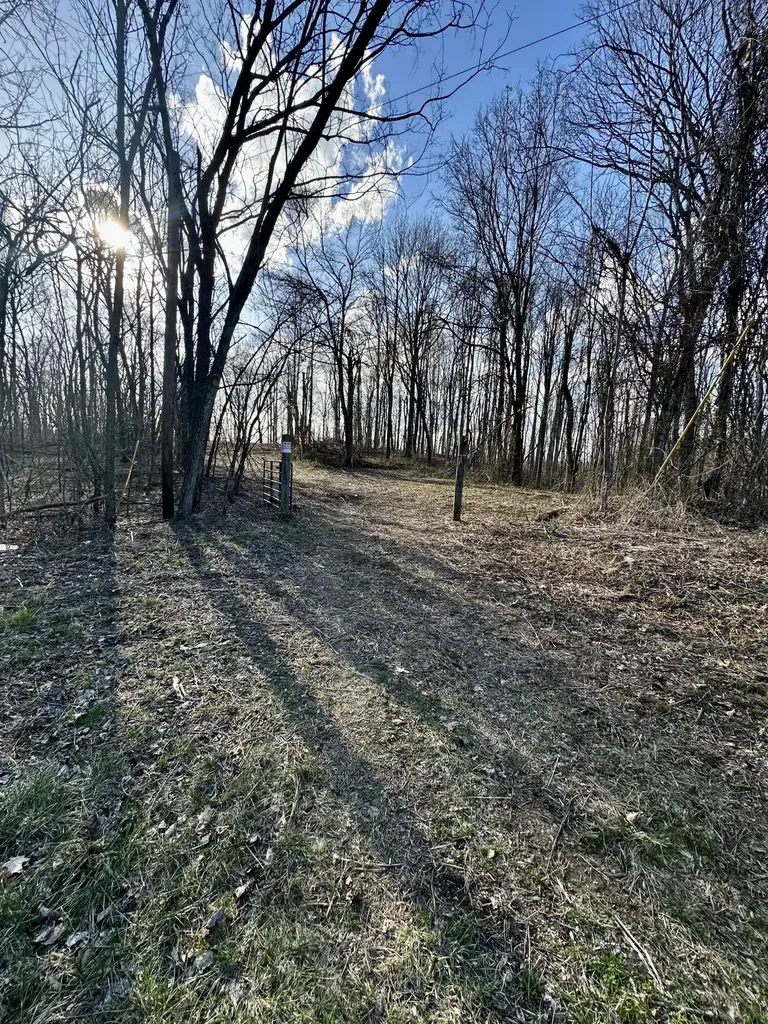 4 Malone Ridge Road Albany KY 42602