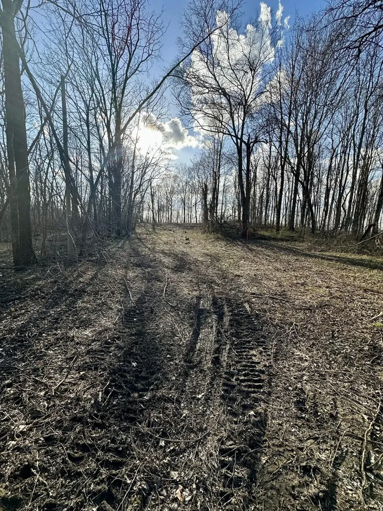 4 Malone Ridge Road Albany KY 42602