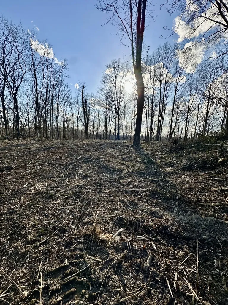 4 Malone Ridge Road Albany KY 42602