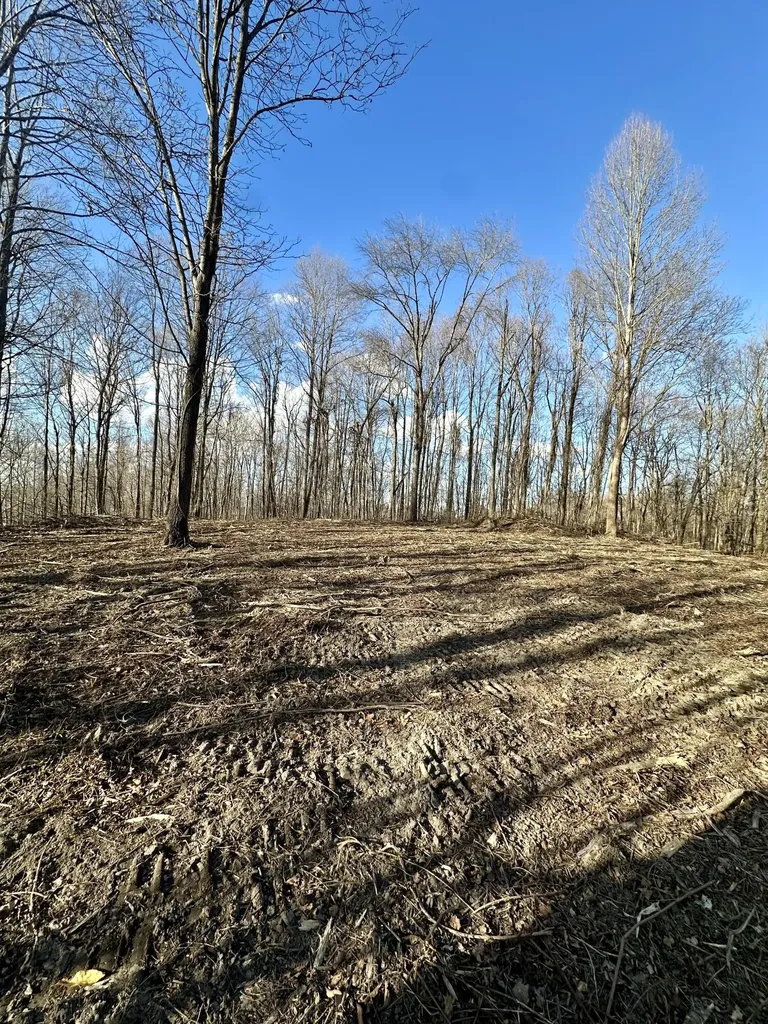 4 Malone Ridge Road Albany KY 42602