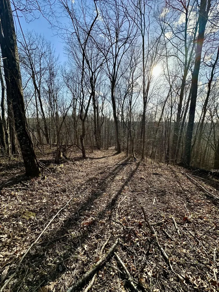 4 Malone Ridge Road Albany KY 42602