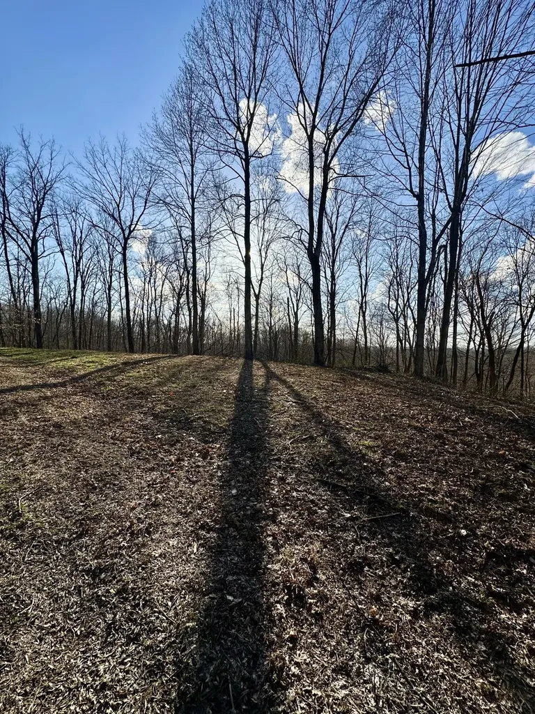 2 Malone Ridge Road Albany KY 42602