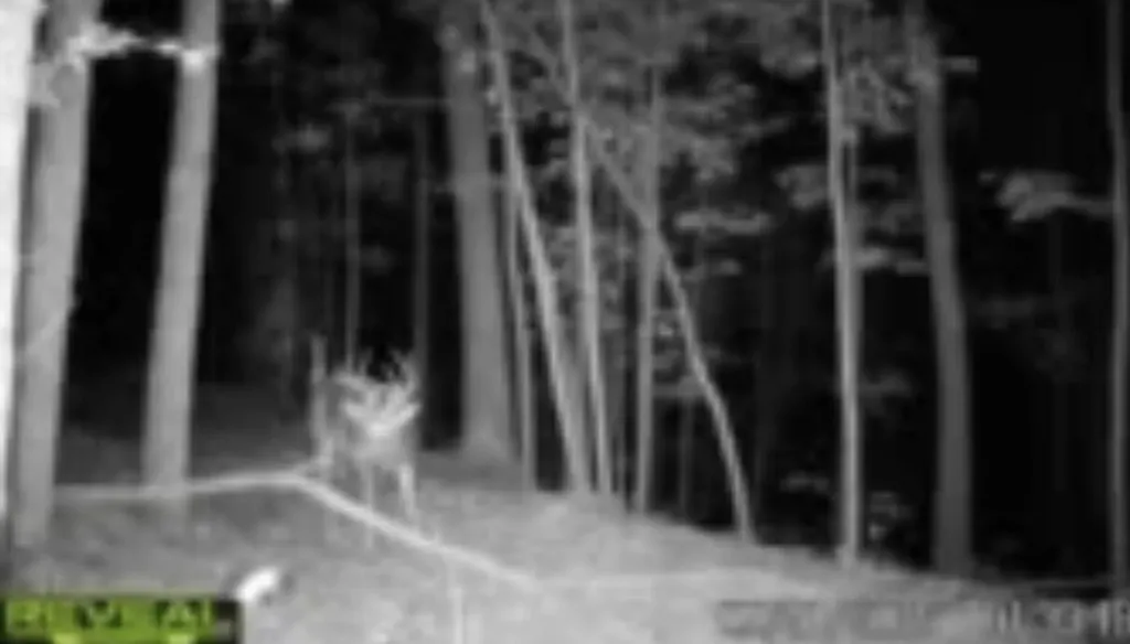 670 Curt Road Jackson KY 41339