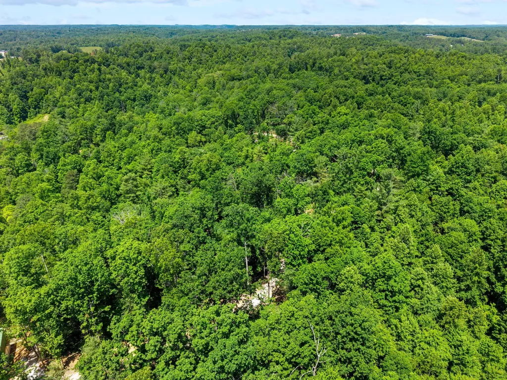 181 High Ridge Road Campton KY 41301