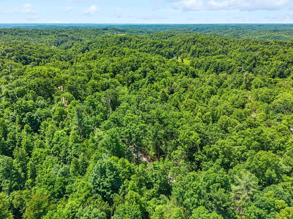 181 High Ridge Road Campton KY 41301