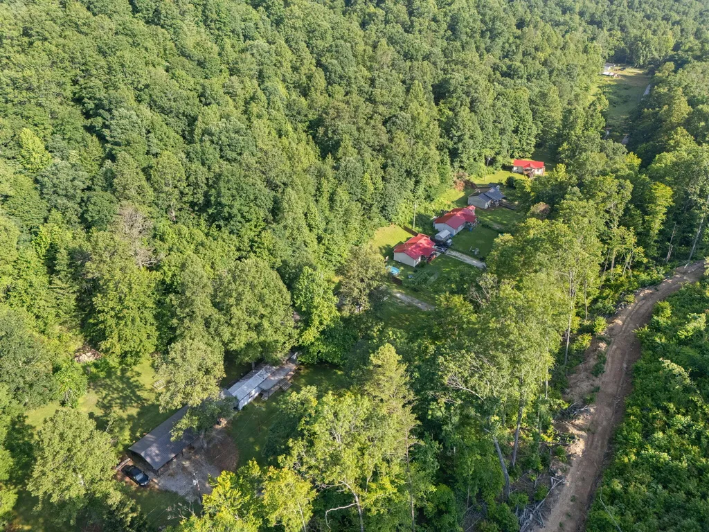 1924 Bill Chain Road Garrison KY 41141