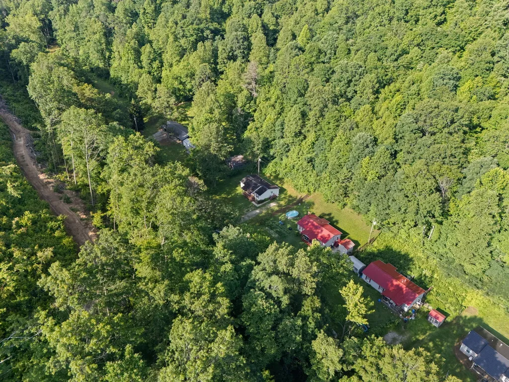 1924 Bill Chain Road Garrison KY 41141