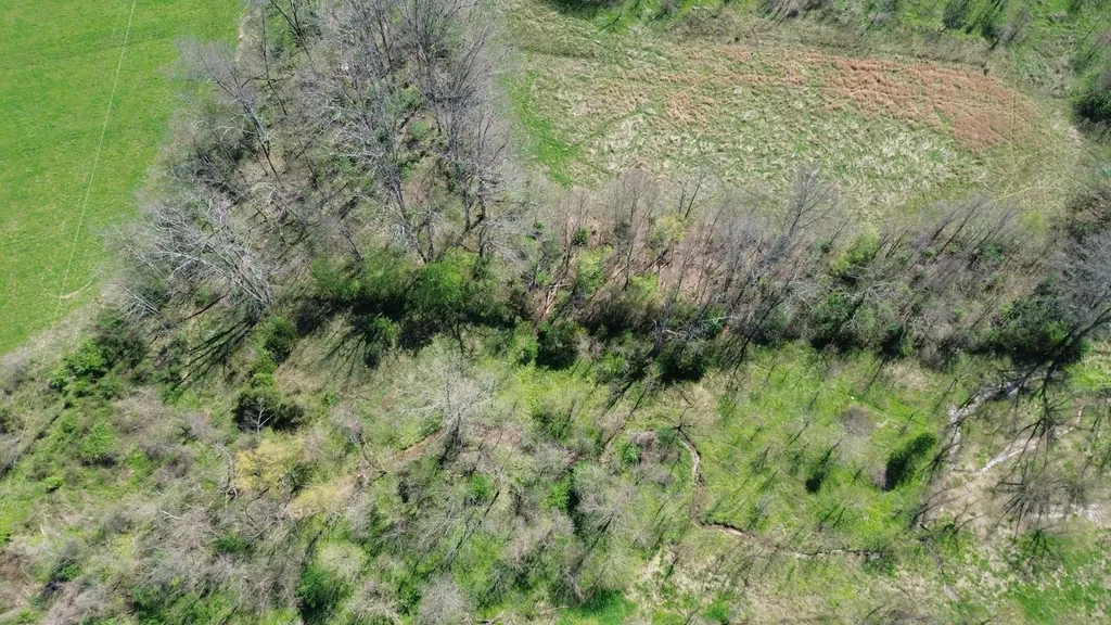 20A Mint Ridge Road Carlisle KY 40311