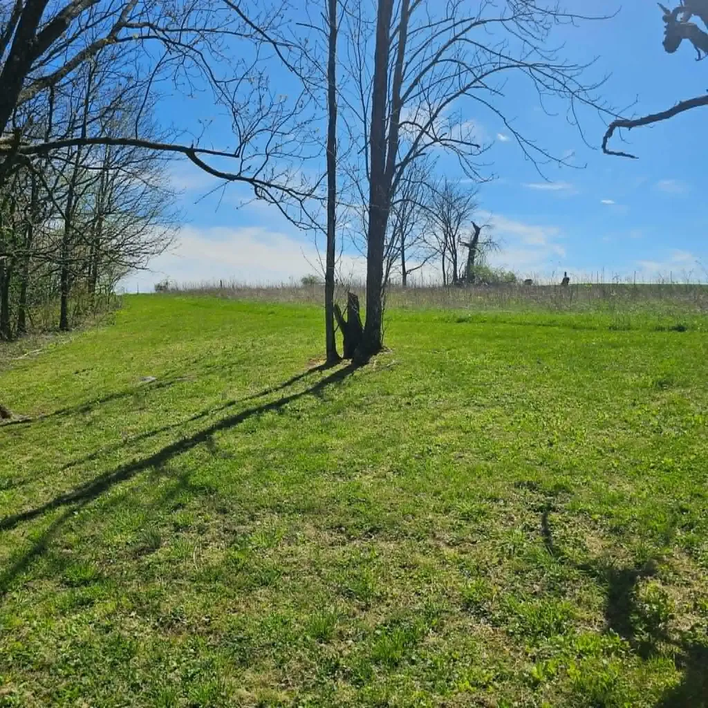 127 Faubush-norfleet Road Nancy KY 42544