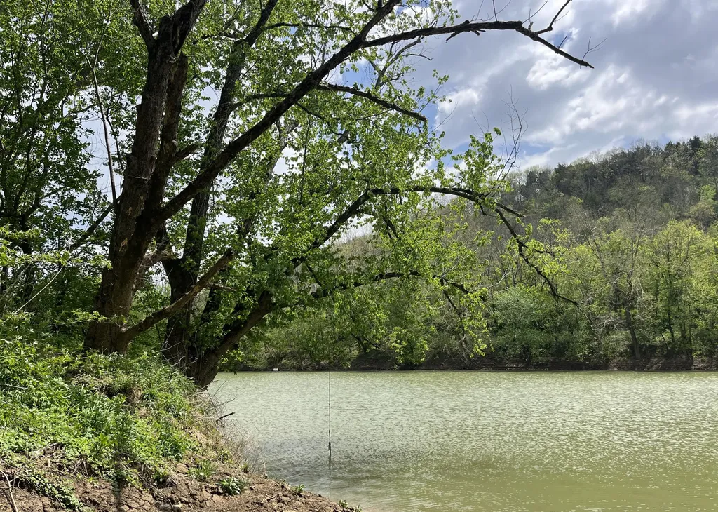 3821 Jackson Ferry Road Winchester KY 40391