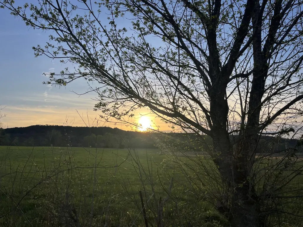 3991 Jackson Ferry Road Winchester KY 40391