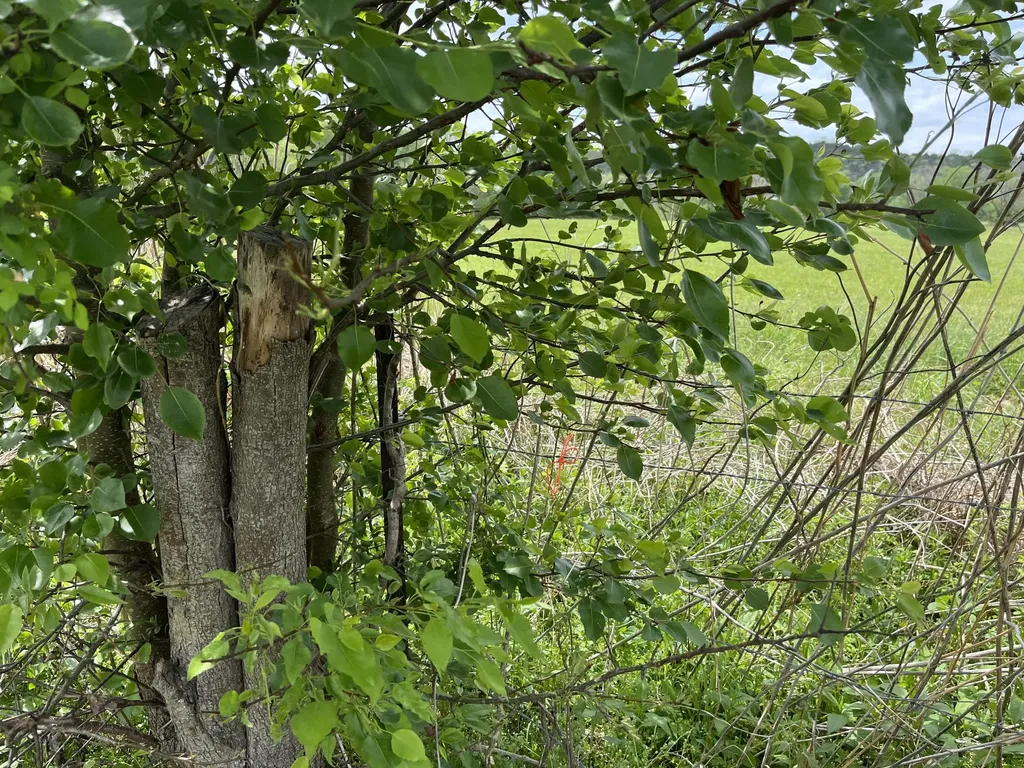 4025 Jackson Ferry Road Winchester KY 40391