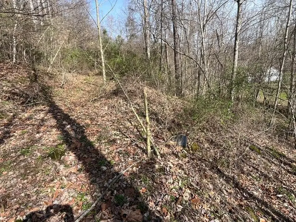 326 Earl Crisp Road Sandy Hook KY 41171