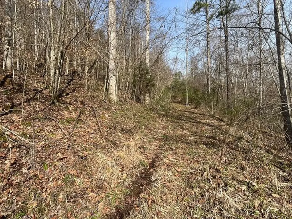 326 Earl Crisp Road Sandy Hook KY 41171
