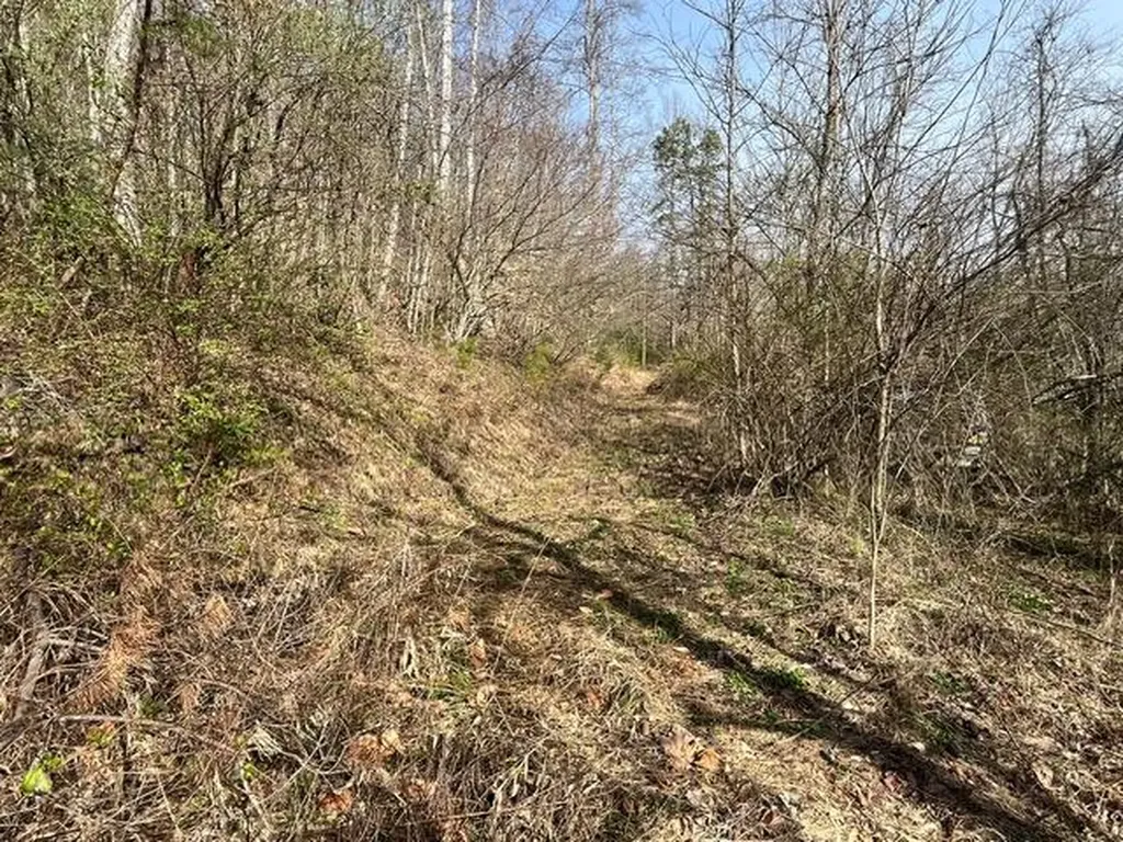 326 Earl Crisp Road Sandy Hook KY 41171