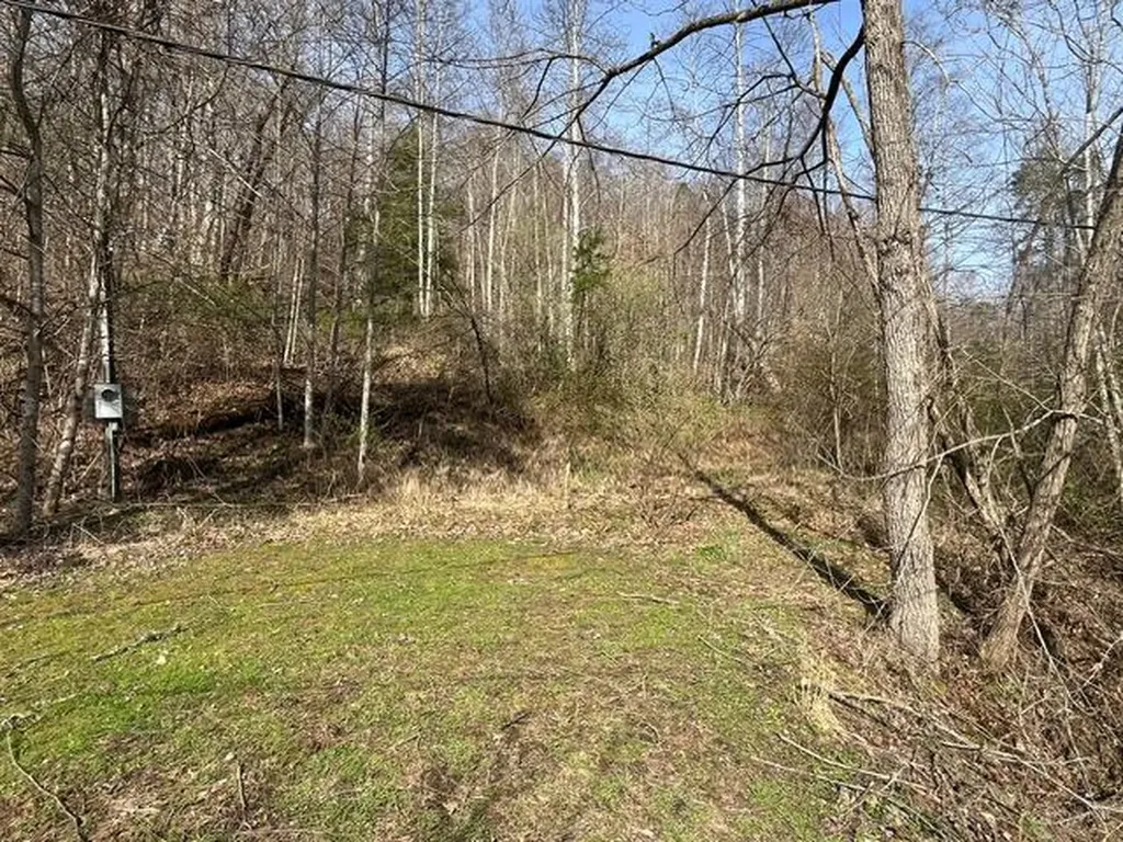 326 Earl Crisp Road Sandy Hook KY 41171