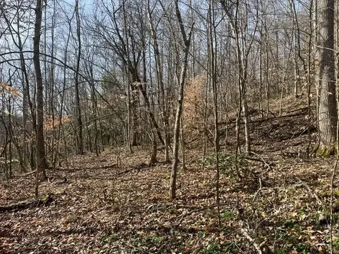 326 Earl Crisp Road Sandy Hook KY 41171