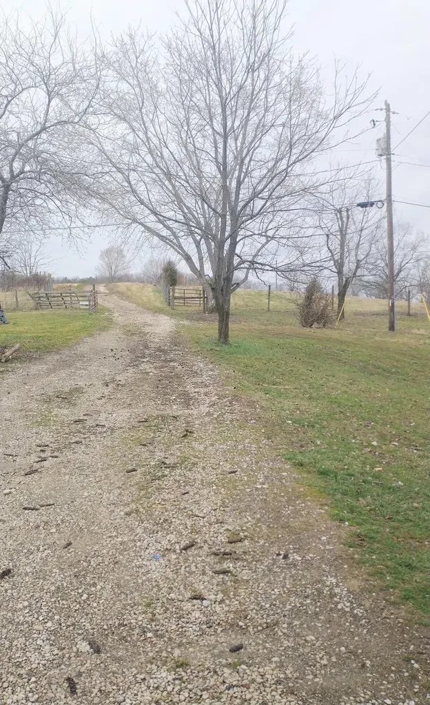 190 & 166 Pine Grove Road Olympia KY 40358