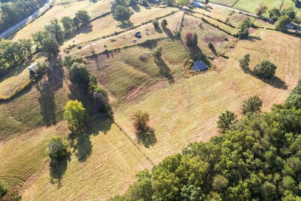 190 & 166 Pine Grove Road Olympia KY 40358