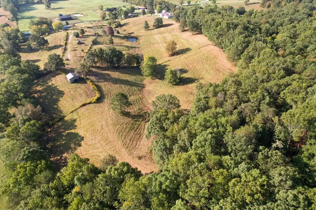 190 & 166 Pine Grove Road Olympia KY 40358
