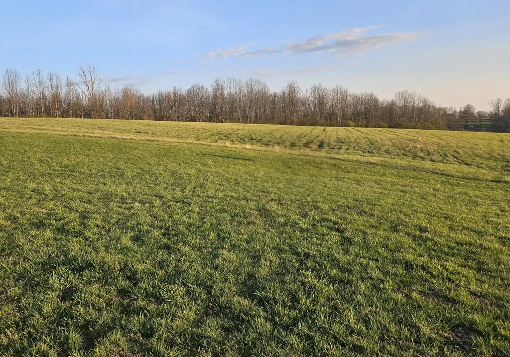 4004 Talon Way Lexington KY 40515